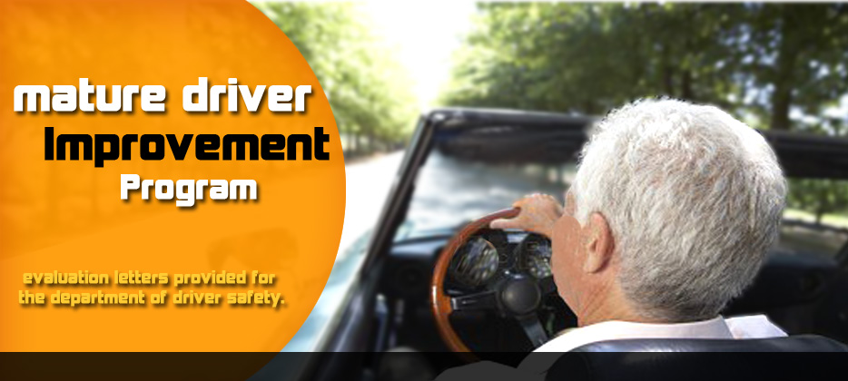 Department of Driver Safety problems? we can help!